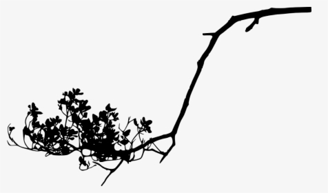 #freetoedit #tree #branch #silhouette #4trueartists, HD Png Download, Free Download