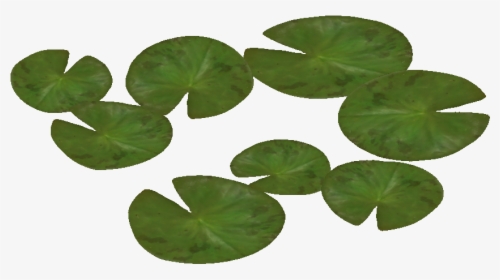 Download Water Lily Png Pic, Transparent Png, Free Download