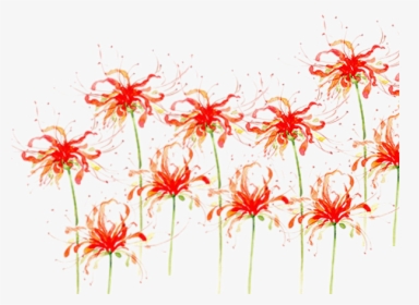 Red Spider Lily Png, Transparent Png, Free Download