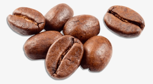 Coffee Bean Png, Transparent Png, Free Download