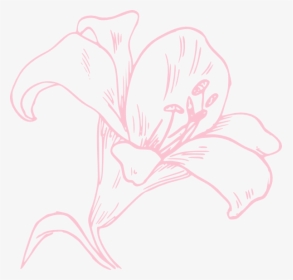 Light Pink Lily Svg Clip Arts, HD Png Download, Free Download