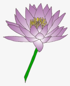 Water Lily Cliparts Png, Transparent Png, Free Download