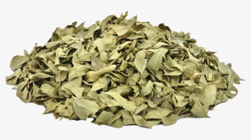 Dry Leaves Png, Transparent Png, Free Download