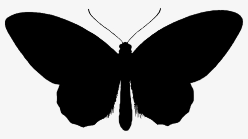 Birdwing Butterfly Silhouette Clip Arts, HD Png Download, Free Download