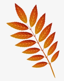 Leaf Cliparts Png Orange, Transparent Png, Free Download