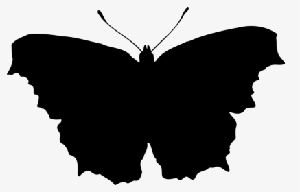 Animal, Butterfly, Insect, Silhouette, HD Png Download, Free Download