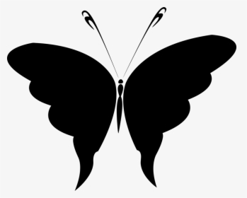 Butterfly,leaf,symmetry, HD Png Download, Free Download
