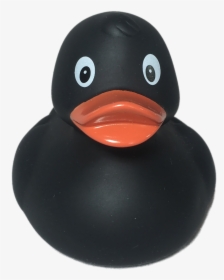 Rubber Duck Transparent Image, HD Png Download, Free Download