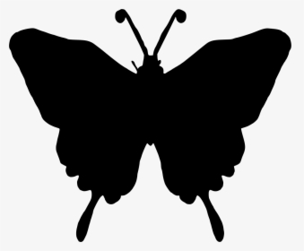 Butterfly Silhouette Png, Transparent Png, Free Download