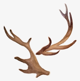 Hand-painted Watercolor Antlers Png Download, Transparent Png, Free Download