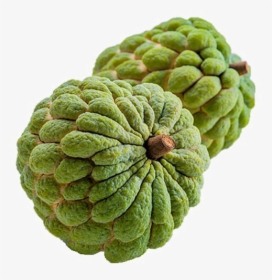Sugar Apple Png Image Transparent, Png Download, Free Download