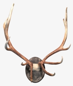 Deer Antler Moose Horn Elk, HD Png Download, Free Download