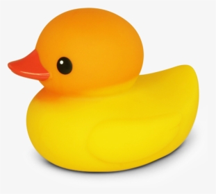 Colour Changing Ducks, HD Png Download, Free Download