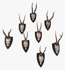 Deer Antler Png Graphic Black And White, Transparent Png, Free Download