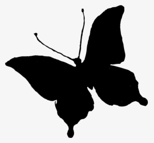 Clip Art Brush-footed Butterflies Silhouette Portable, HD Png Download, Free Download