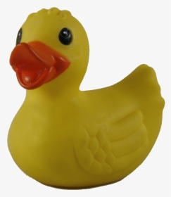 Rubber Duck, HD Png Download, Free Download