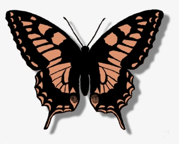 Butterfly Digital Clip Art Download Silhouette, HD Png Download, Free Download