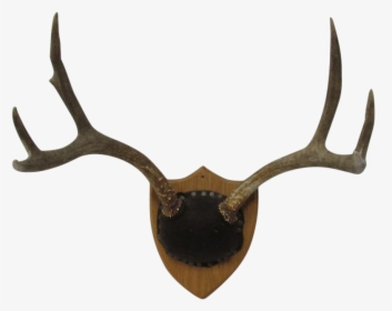 Png Deer Antlers Png Freeuse Library, Transparent Png, Free Download