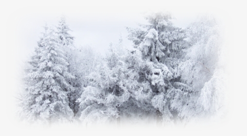 Winter Snow Desktop Wallpaper Cold, HD Png Download, Free Download