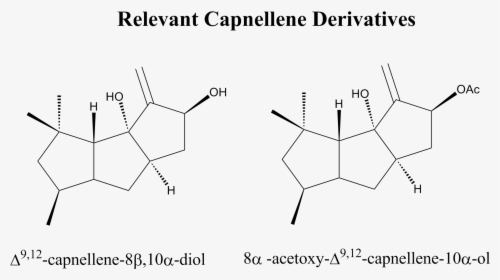Capnellene Drugs, HD Png Download, Free Download