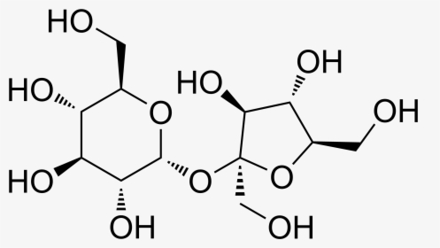 File - Sucrose2, HD Png Download, Free Download