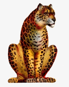 Sitting Leopard Png High-quality Image, Transparent Png, Free Download