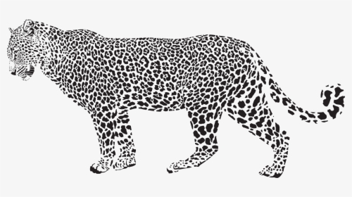 Cheetah Silhouette Png, Transparent Png, Free Download
