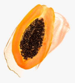 Transparent Papaya Png - Papaya, Png Download, Free Download