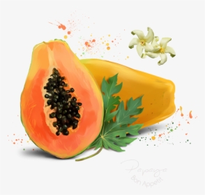 Papaya Drawing Realistic - Papaya Watercolour Clipart, HD Png Download, Free Download