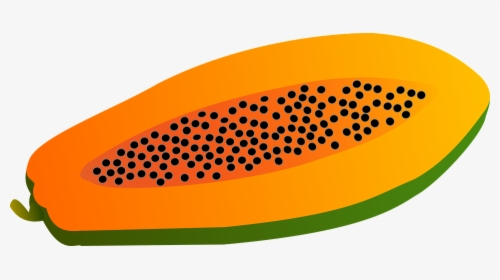 Papaya, Fruit, Vector, Food - มะละกอ Png, Transparent Png, Free Download
