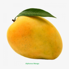 Papaya - Mango Png, Transparent Png, Free Download