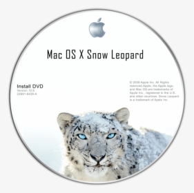 Hd Wallpapers Snow Leopard, HD Png Download, Free Download