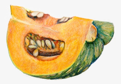 Papaya Drawing Orange Fruit - Pumpkin, HD Png Download, Free Download