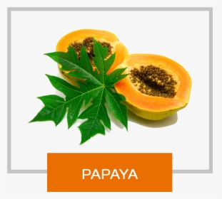 Papaya Png, Transparent Png, Free Download