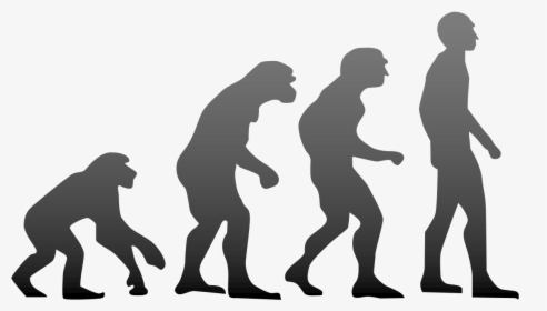 The Hrd Minister Thinks Theory Of Evolution Is Wrong - Four Stages Of Evolution Of Man, HD Png Download, Free Download