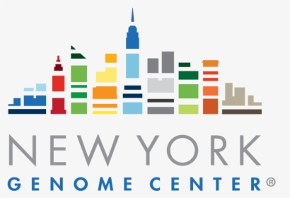 New York Genome Center, HD Png Download, Free Download