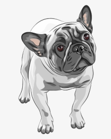 French Bulldog Vector Png, Transparent Png, Free Download