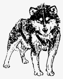 Monochrome - Husky Png Icon White, Transparent Png, Free Download