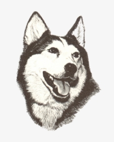 New Holstein Huskies, HD Png Download, Free Download