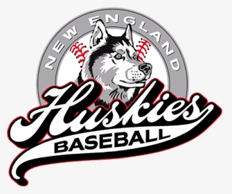 Siberian-husky - Huskies Baseball Norwell, HD Png Download, Free Download