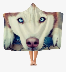 Hd Husky, HD Png Download, Free Download