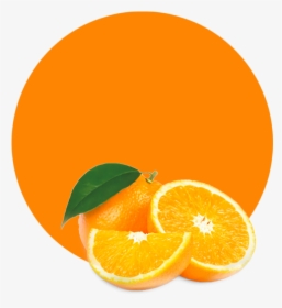 Orange, HD Png Download, Free Download