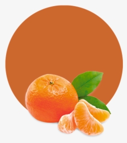 Mandarins Transparent Png, Png Download, Free Download