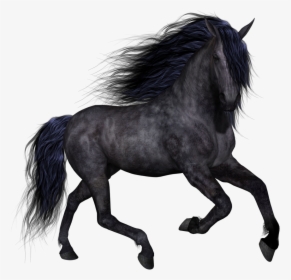 Horse Clip Art - Лошадь С Прозрачным Фоном, HD Png Download, Free Download