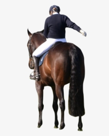 Stallion, HD Png Download, Free Download