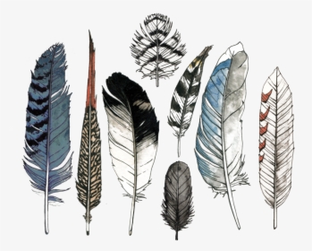 Natural-material - Watercolor Feathers, HD Png Download, Free Download