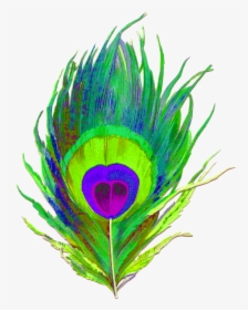 Clipart Peacock Feather Png Transparent Png , Png Download - Peacock Feather Png Logo, Png Download, Free Download