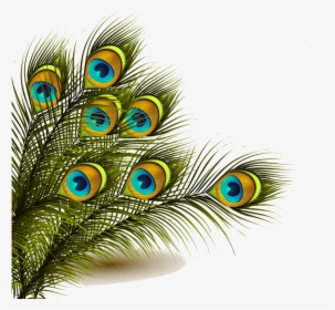 Peafowl Feather Clip Art - Peacock Feather Png, Transparent Png, Free Download