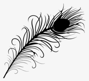 Peacock Feather Clipart Png Black And White - Peacock Feather Black And White, Transparent Png, Free Download