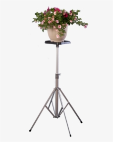 Free Stand Flower Bouquet, HD Png Download, Free Download